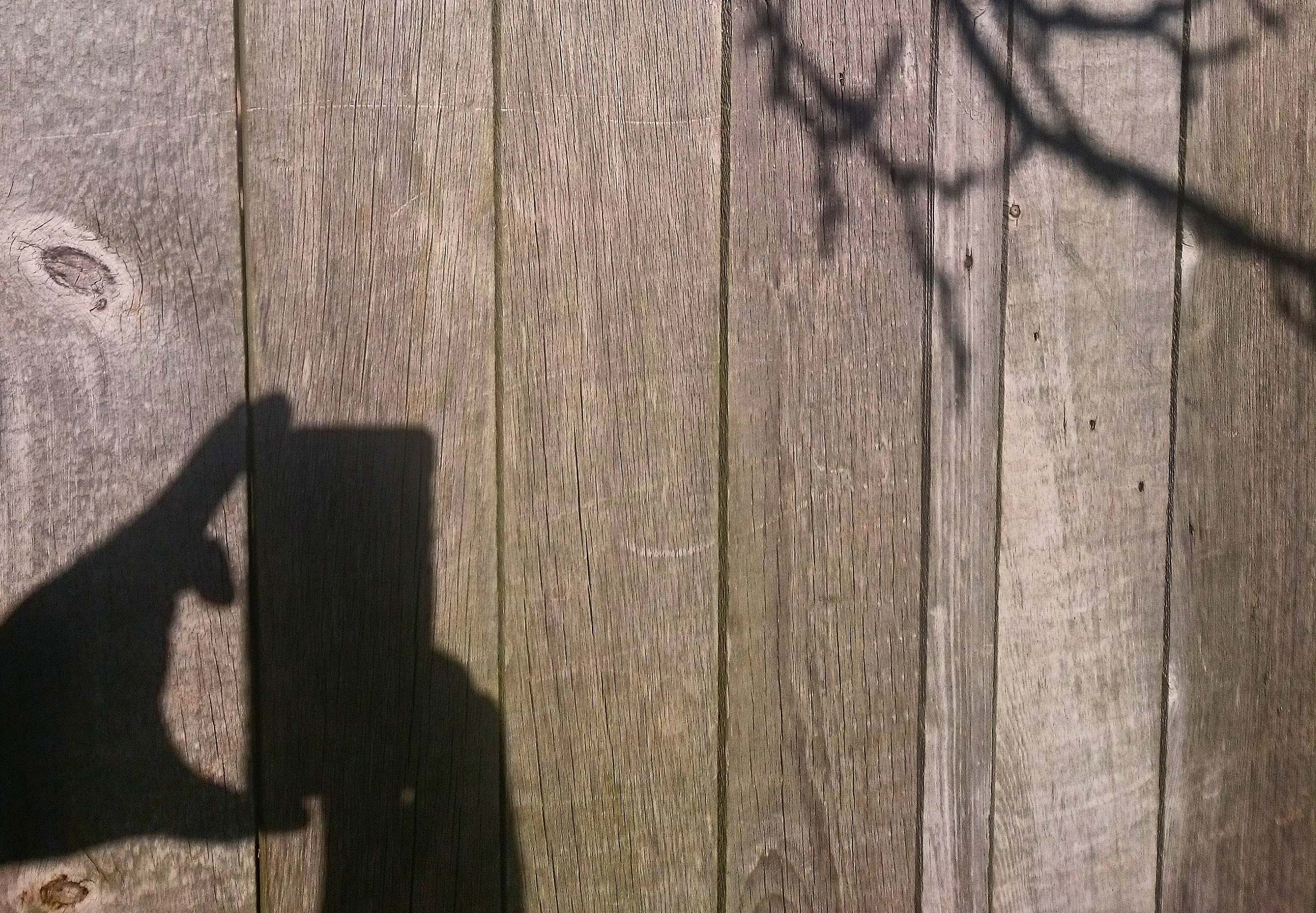 Some Observations on What Photography Is Now…