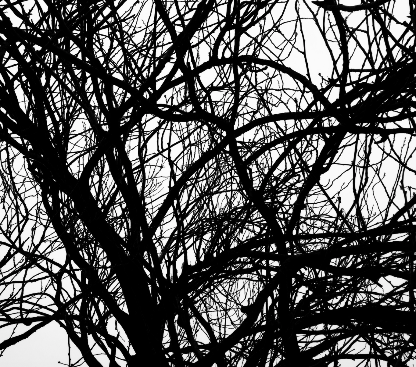 Is photography stuck in a constantly repeating loop?