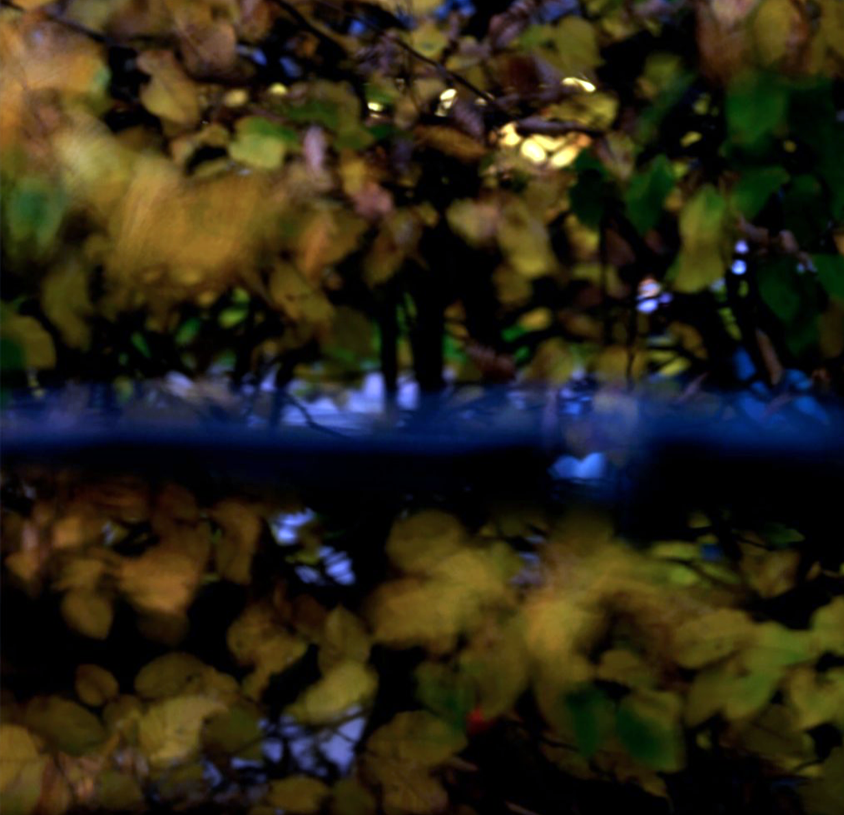 PODCAST: A Photographic Life, Episode 59: Plus Photographer Fleur Olby