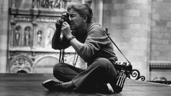 Icons of Photography: Eve Arnold