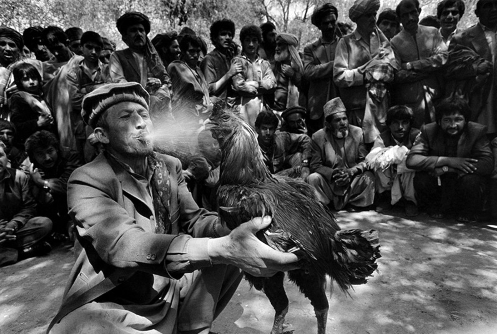 PODCAST: A Photographic Life, Episode 110: Plus Photographer Witold Krassowski