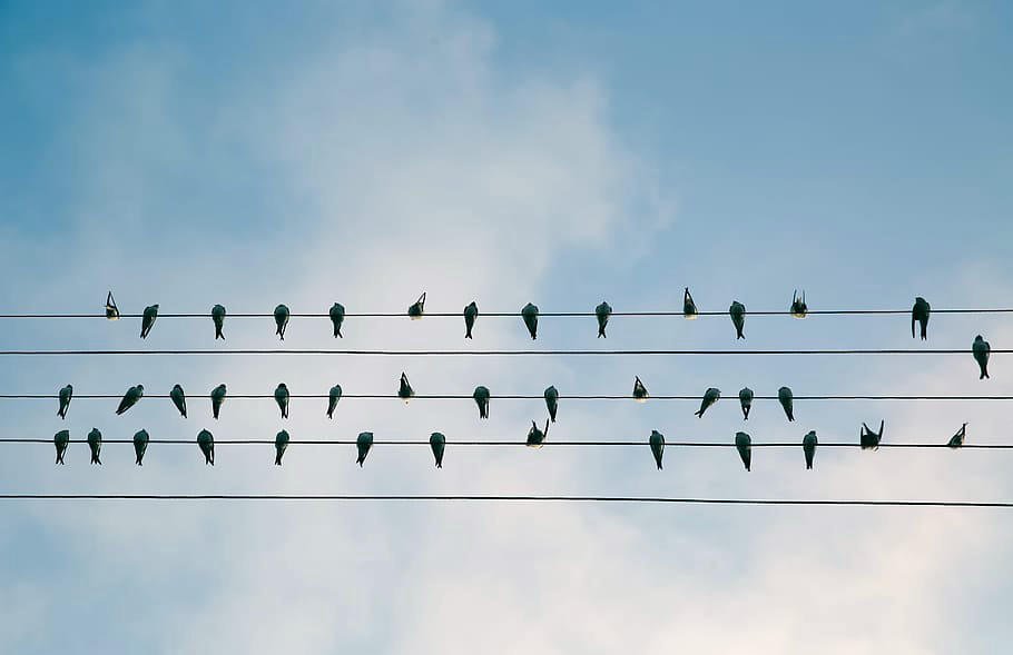 When Everything Looks the Same, That’s a Problem…