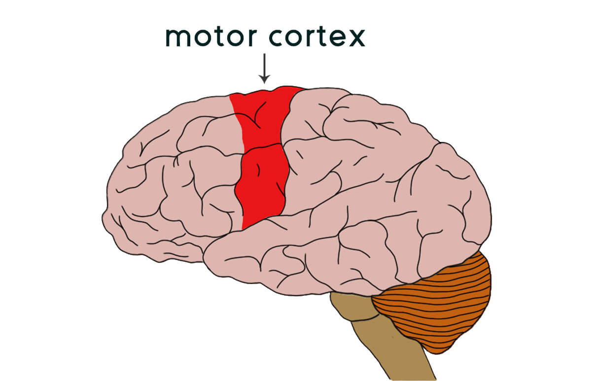 Muscle Memory and Photography