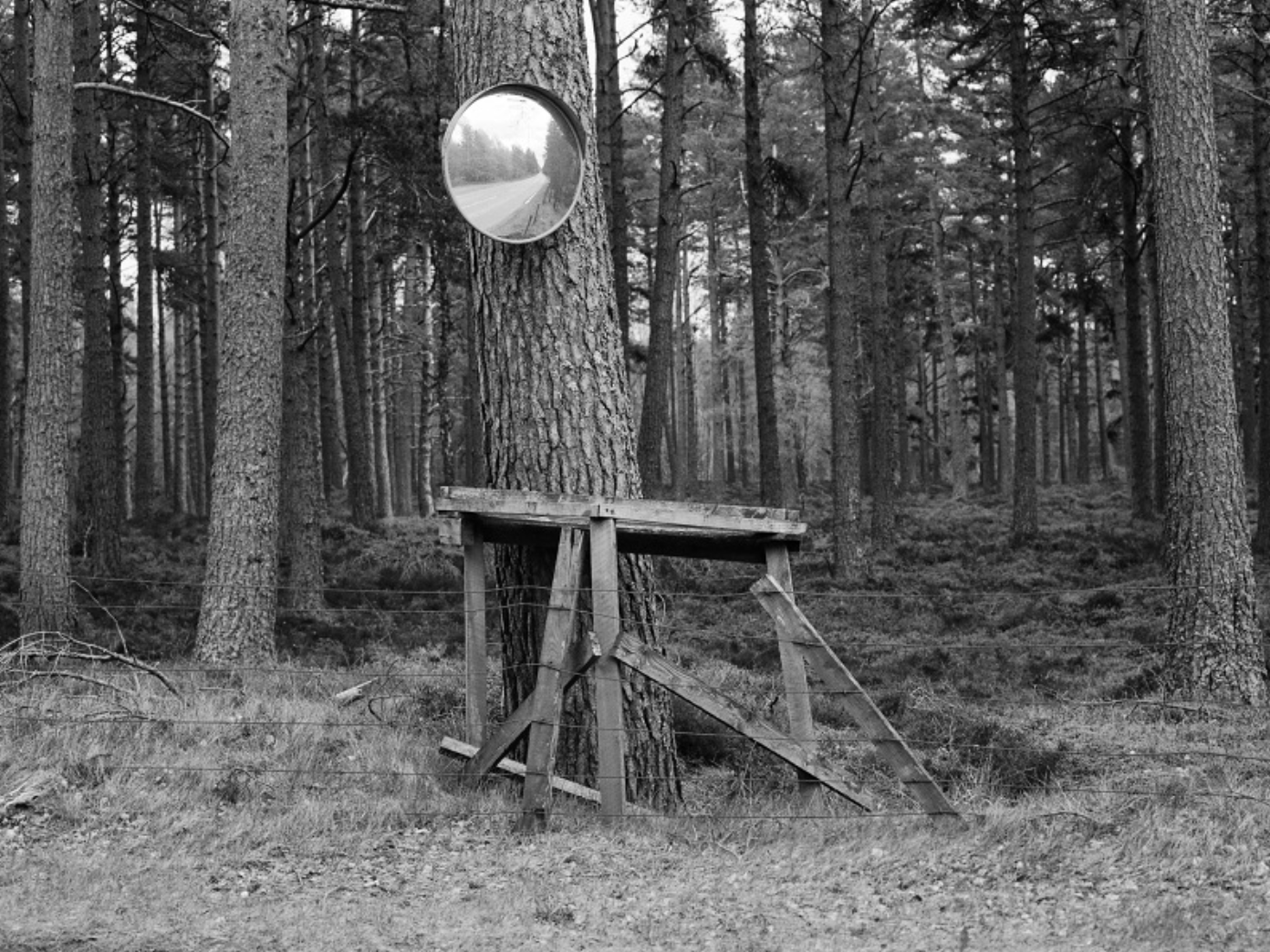 PODCAST: A Photographic Life, Episode 169: Plus Photographer Frances Scott