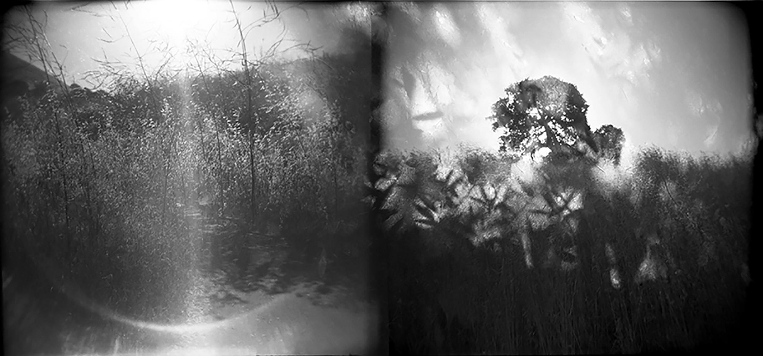 PODCAST: A Photographic Life, Episode 177: Plus Photographer J.M.Golding