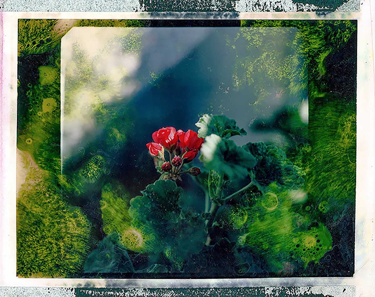 PODCAST: A Photographic Life, Episode 226: Plus Photographer Nicola Muirhead