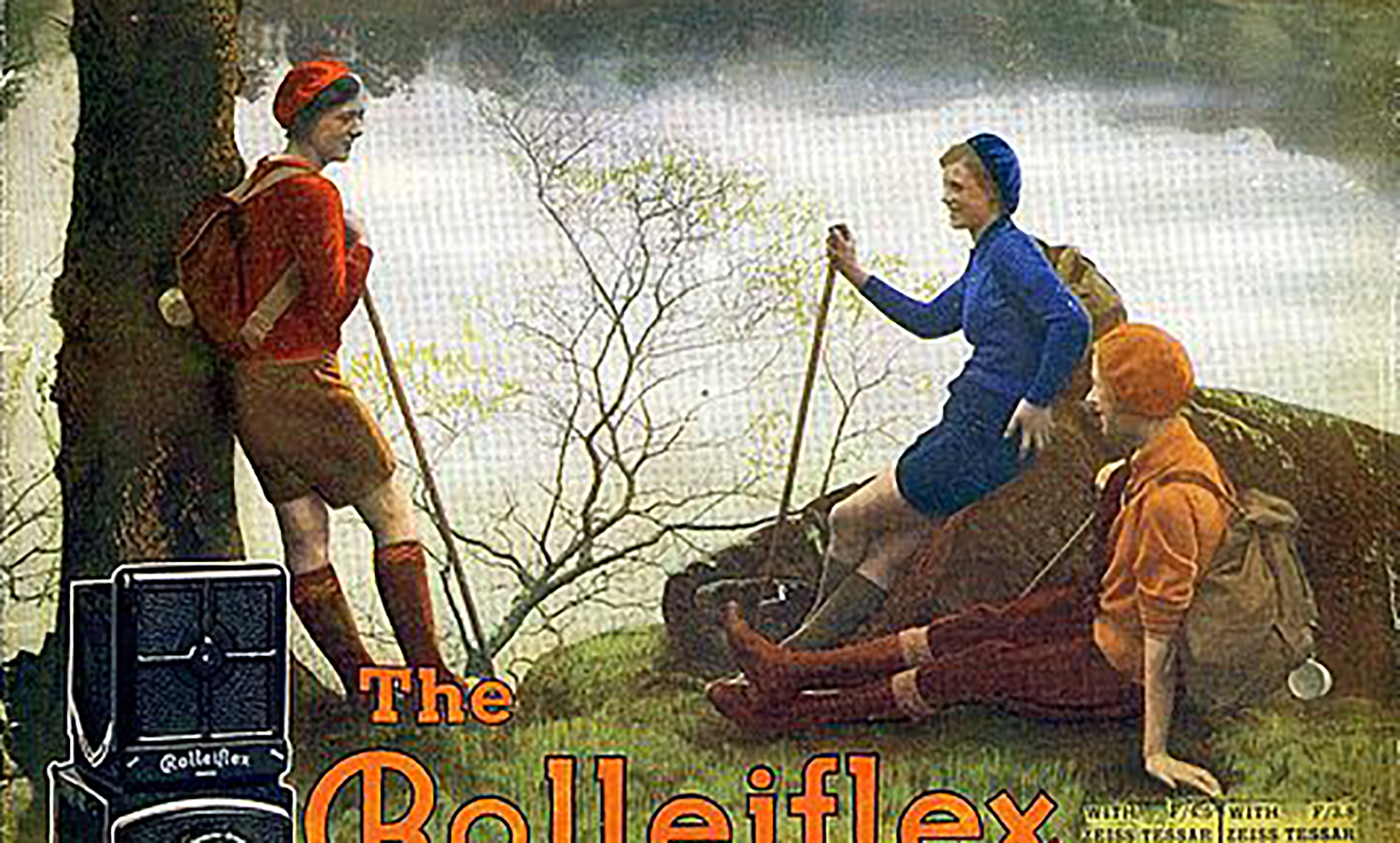 Photography, Flowers, Landscapes, and Birds. Some Thoughts…