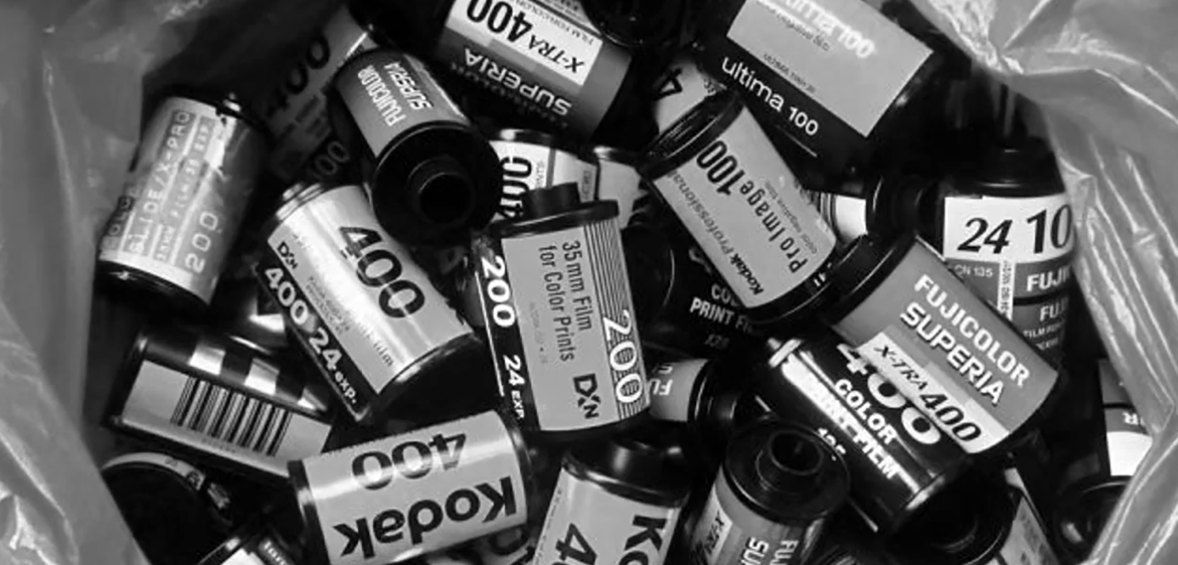 You Don’t Need to Study Analogue Photography to Be a Photographer!