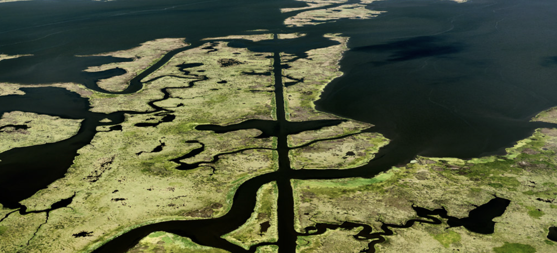 Photographers, Is It Time to Move on From the Anthropocene Tag?