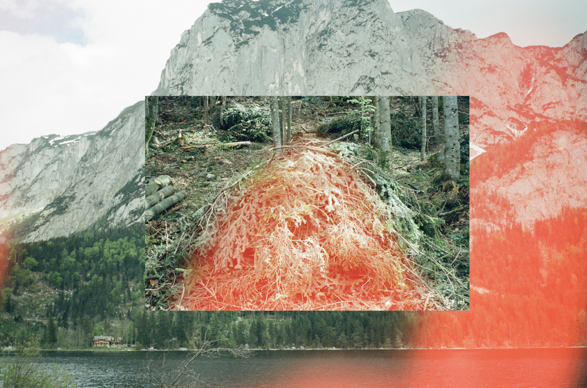 PODCAST: A Photographic Life, Episode 262: Plus Photographer Pippa Healy