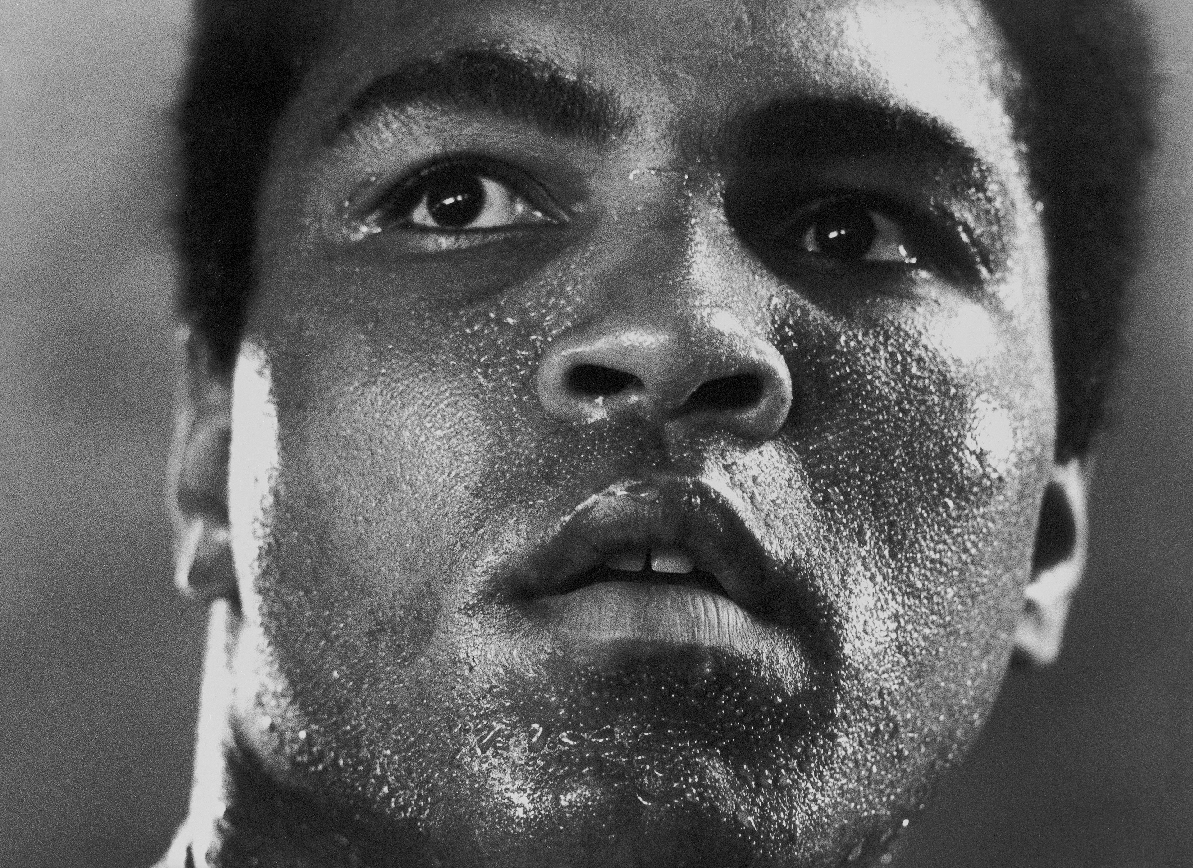 PODCAST: A Photographic Life, Episode 288: Plus Photographer Michael J Brennan