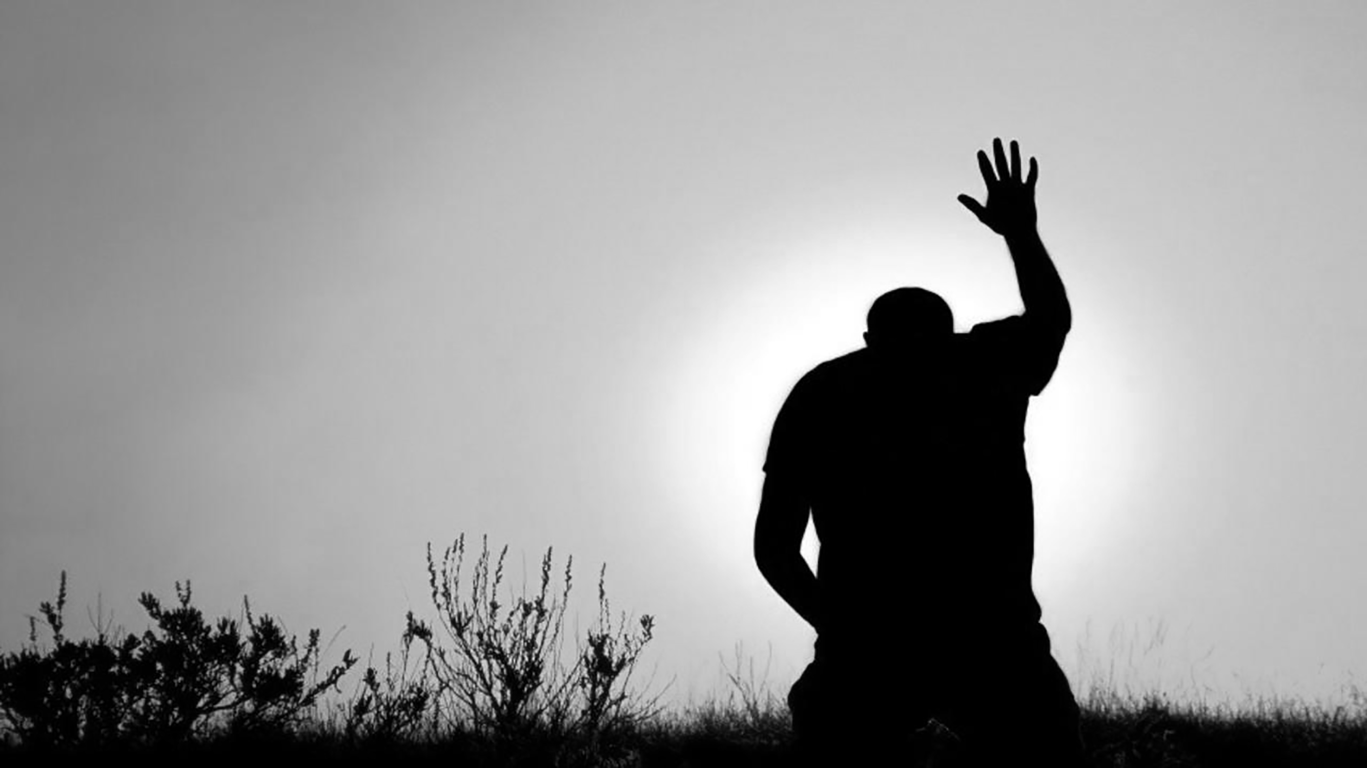 Praise Me When I Am Here and When I Am Gone or When Photographers Die…