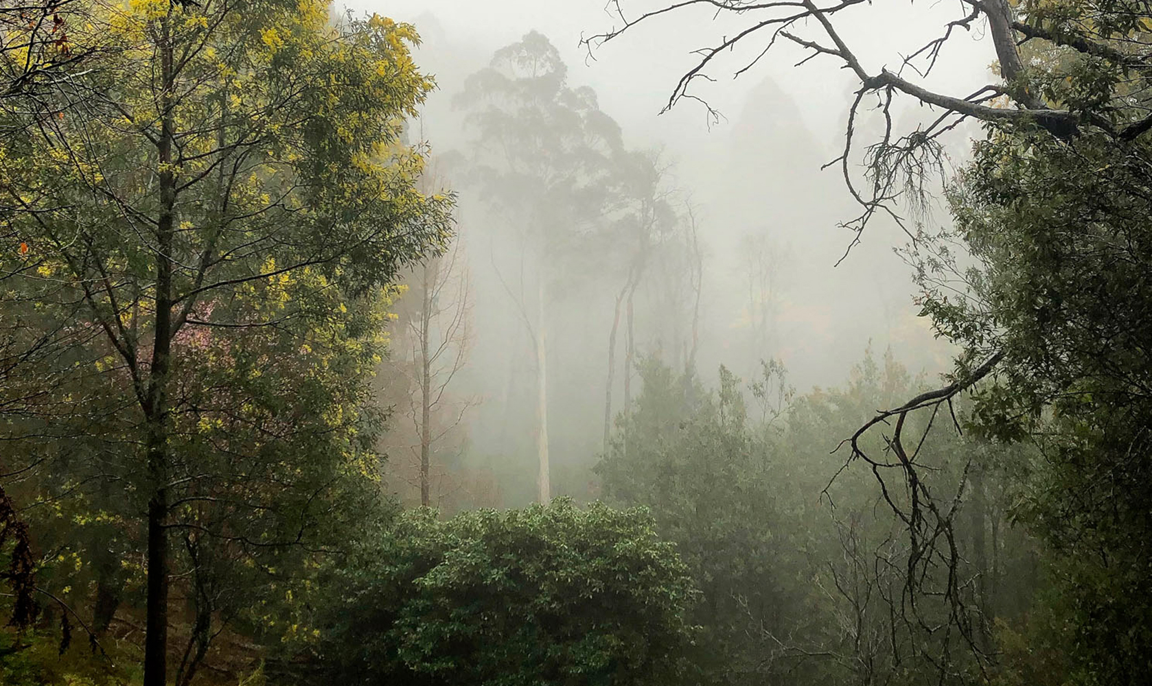 PODCAST: A Photographic Life, Episode 299: Plus Photographer Morganna Magee