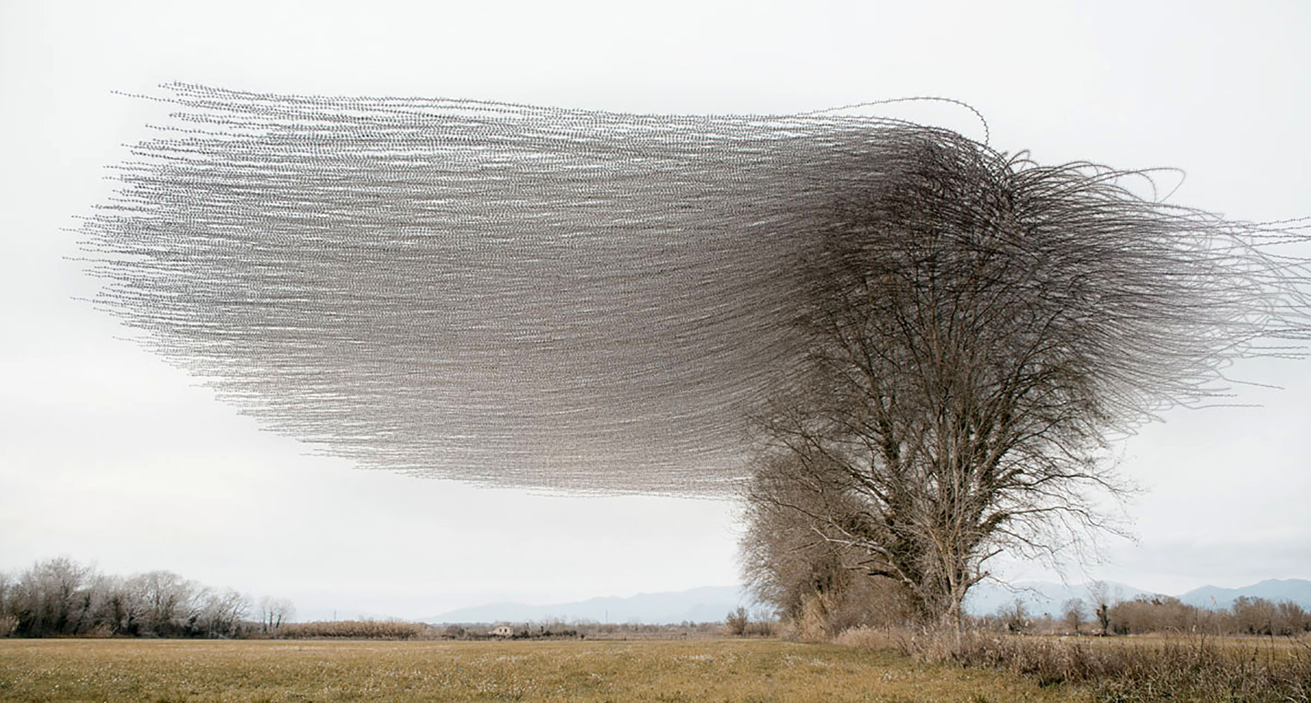 PODCAST: A Photographic Life, Episode 306: Plus Photographer Xavi Bou