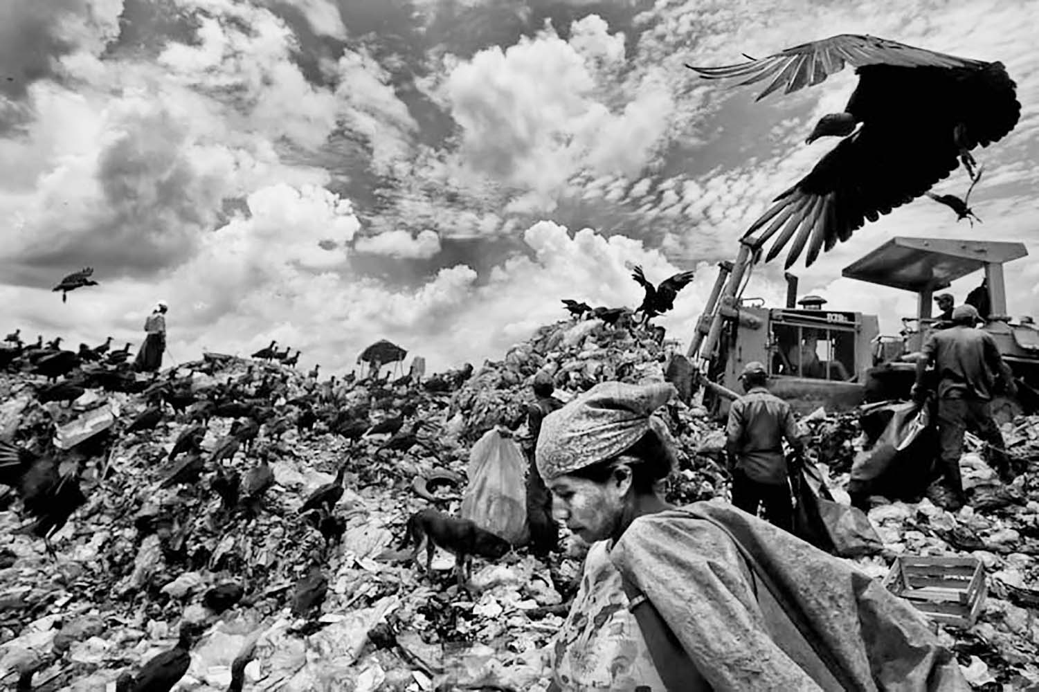 PODCAST: A photographic Life, Episode 307: Plus Photographer Michael Robinson Chávez