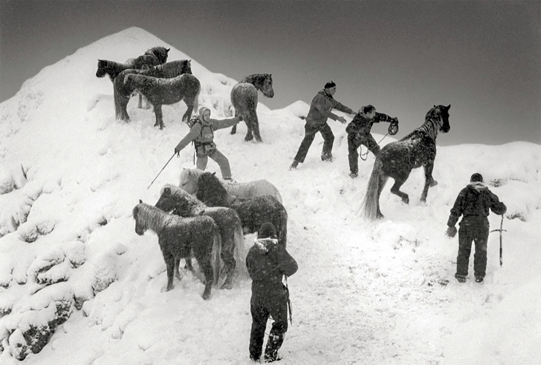 What Does Photography Mean to You? Ragnar Axelsson