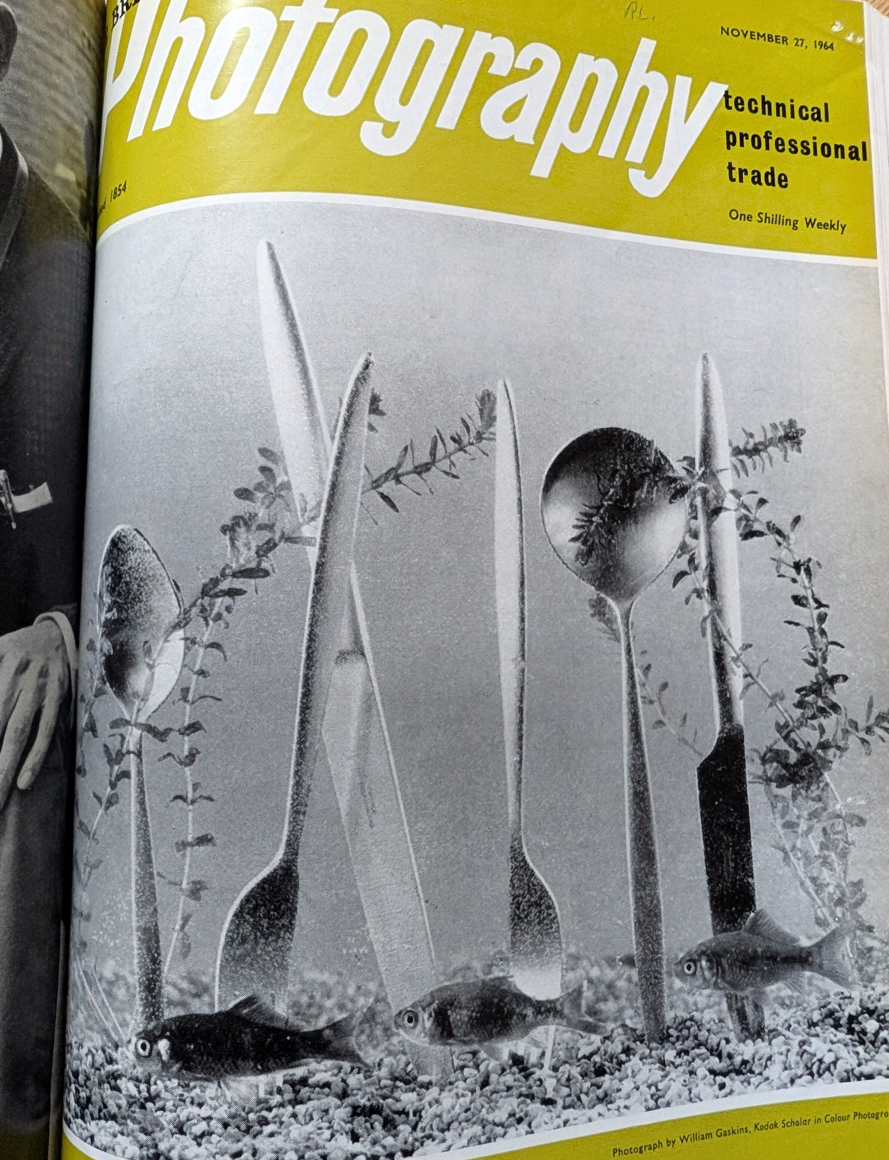 A Photographer’s Licence?